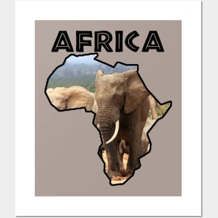 Africa Wildlife Continent Elephant Bull Posters and Art